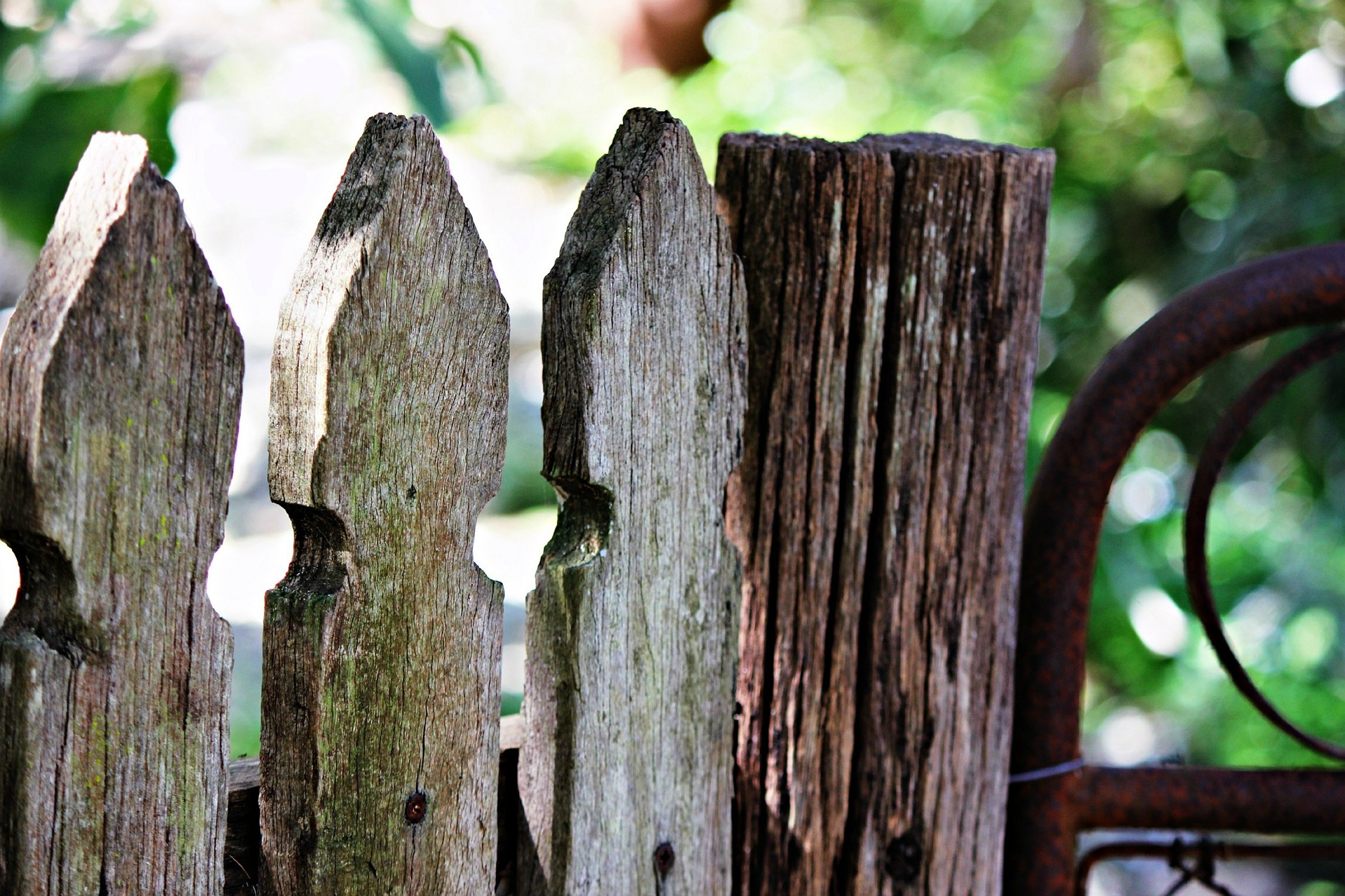 vegetable garden fence ideas