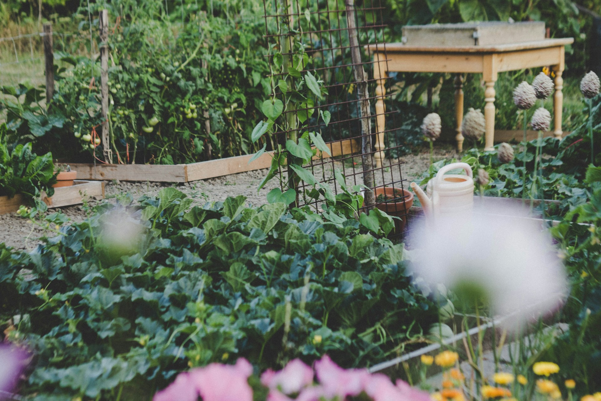 small vegetable garden ideas
